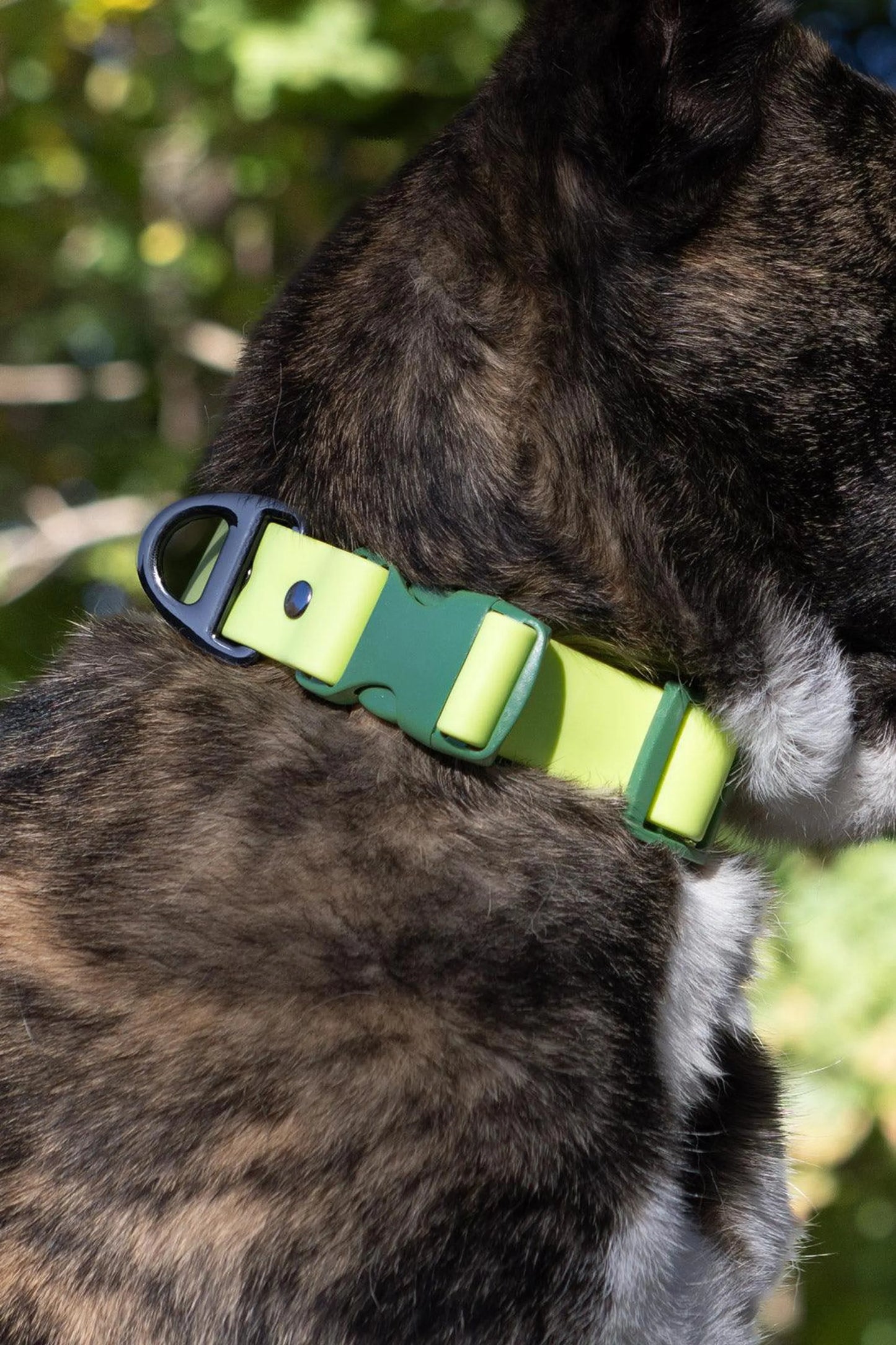 Mossy Pine Waterproof Dog Collar by Aria the Fox