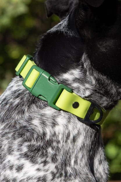 Mossy Pine Waterproof Dog Collar by Aria the Fox