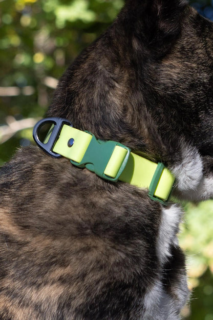 Mossy Pine Waterproof Dog Collar by Aria the Fox