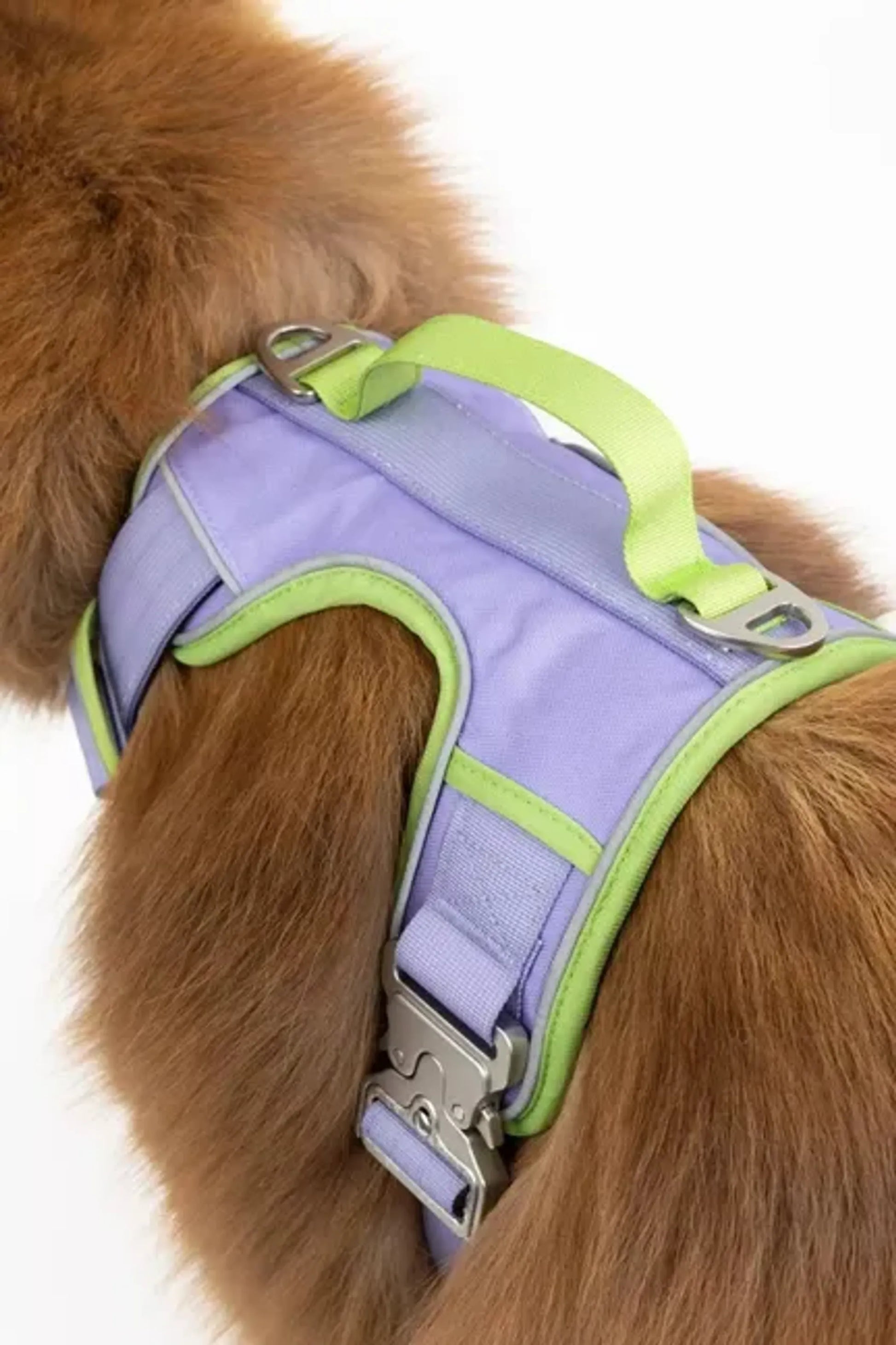 Lavender Garden Ultimate Dog Harness by Aria the Fox