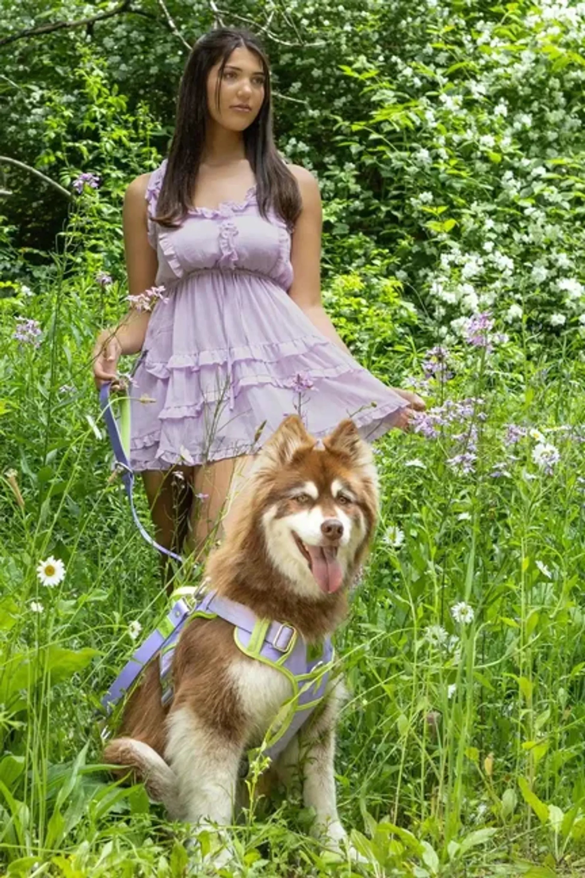 Lavender Garden Ultimate Dog Harness by Aria the Fox