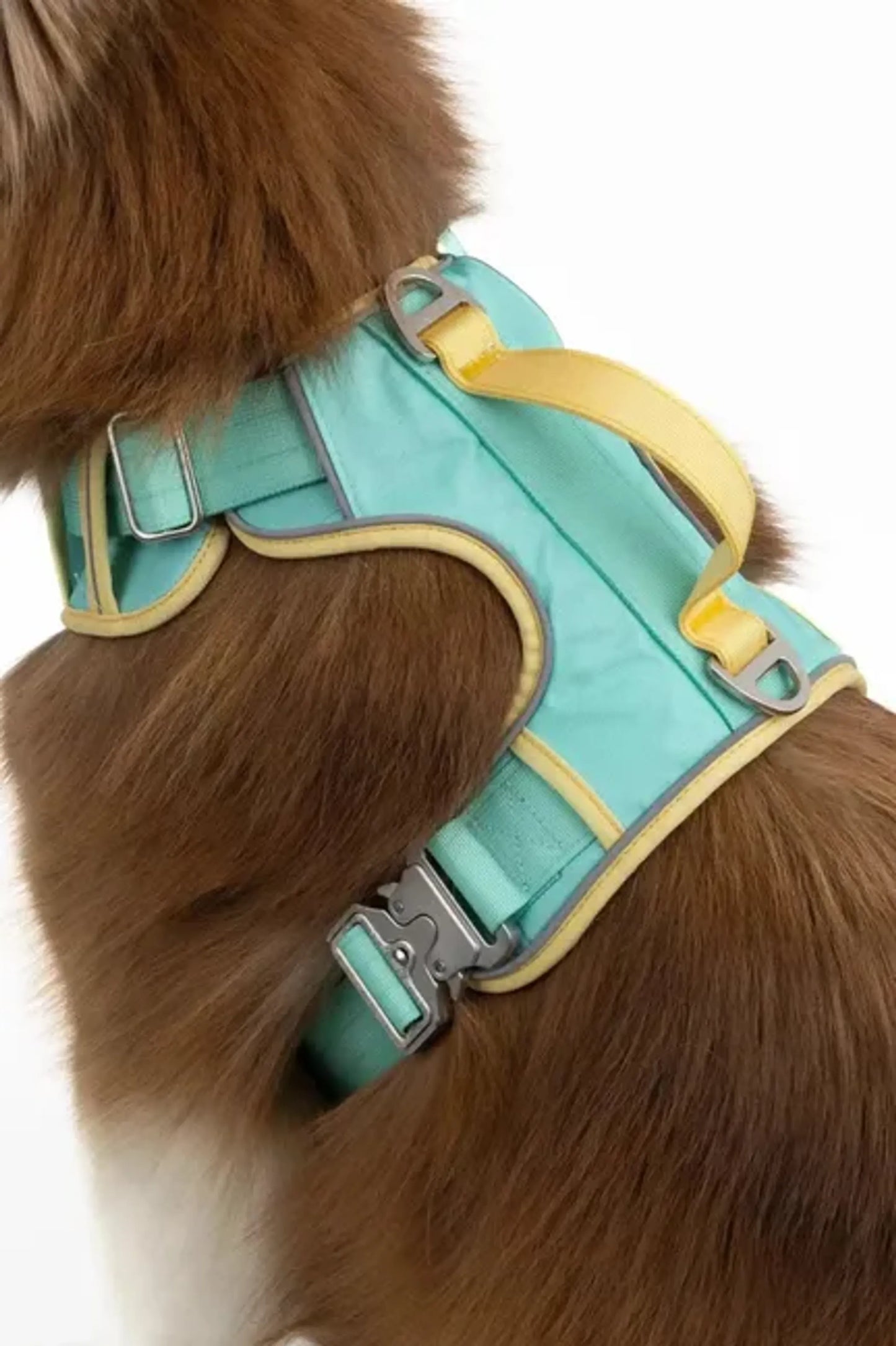Island Vibes Ultimate Dog Harness by Aria the Fox