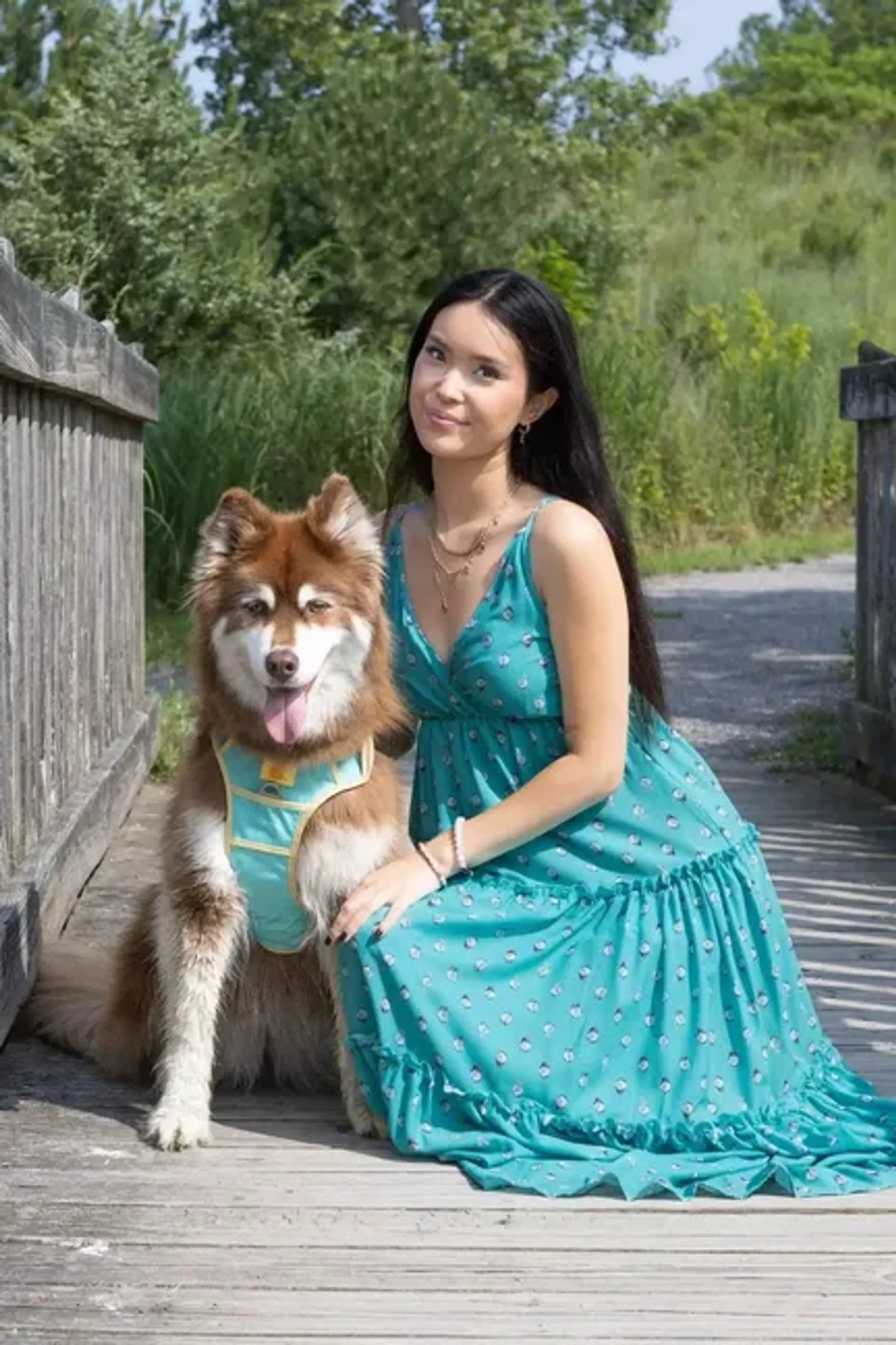 Island Vibes Ultimate Dog Harness by Aria the Fox