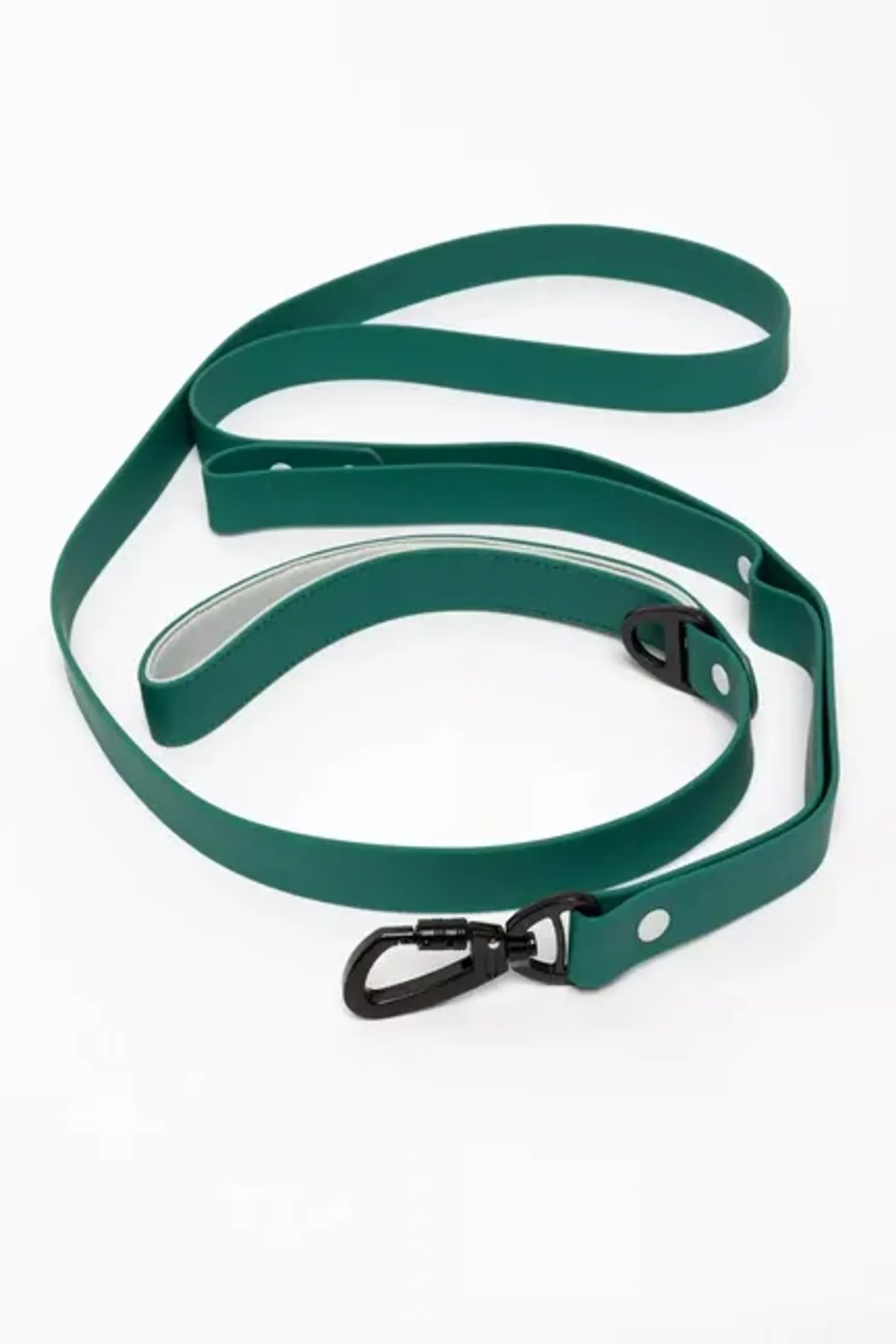 Siberian Spruce Waterproof Dog Leash by Aria the Fox