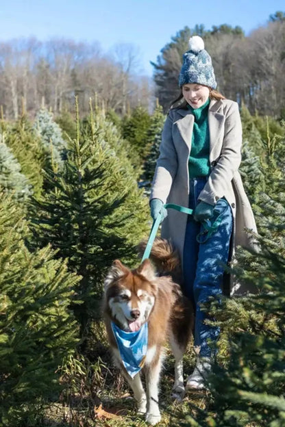 Siberian Spruce Waterproof Dog Leash by Aria the Fox