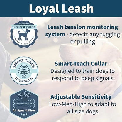 Loyal leash by Hetzer Design and innovations