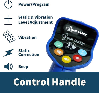 Loyal leash by Hetzer Design and innovations