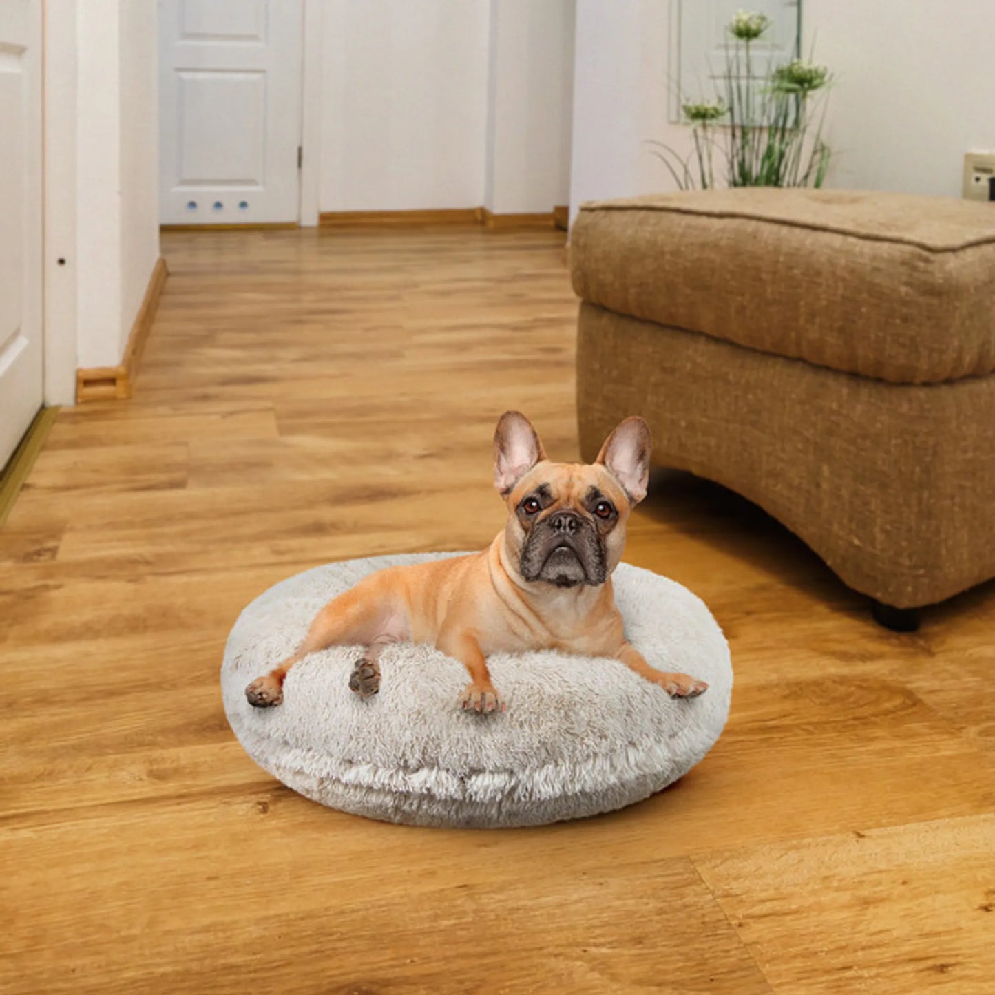 Bagel Bed SM - Blondie by Bessie & Barnie