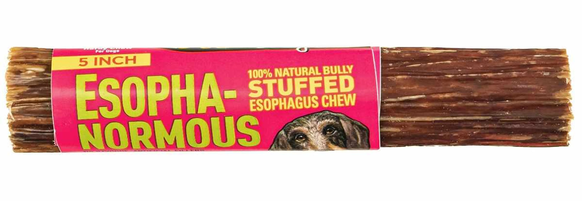 Etta Says! Esopha-normous Bully Stuffed Esophagus Chew 5in 20ct Bag by Etta Says!