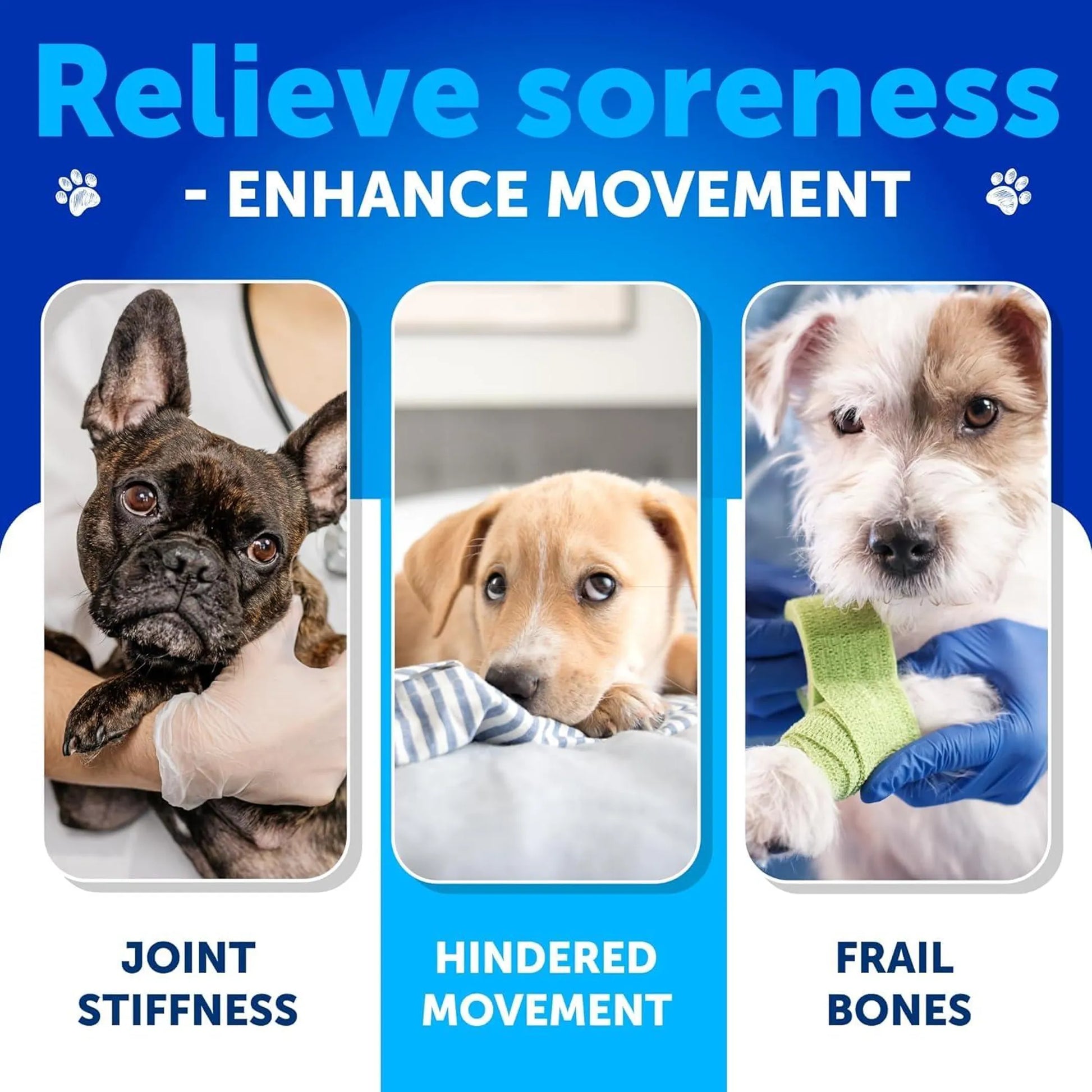 Glucosamine for Dogs Hip and Joint Supplement by Artullano