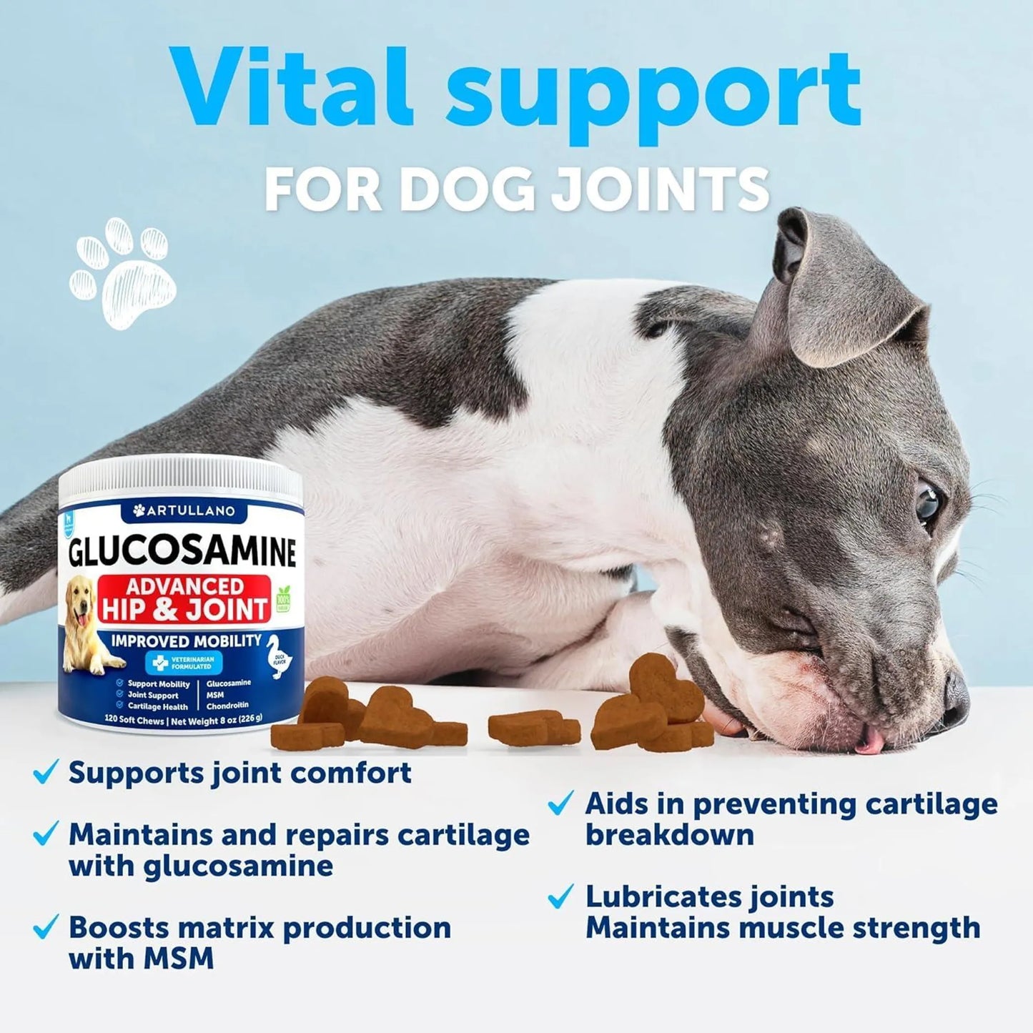 Glucosamine for Dogs Hip and Joint Supplement by Artullano