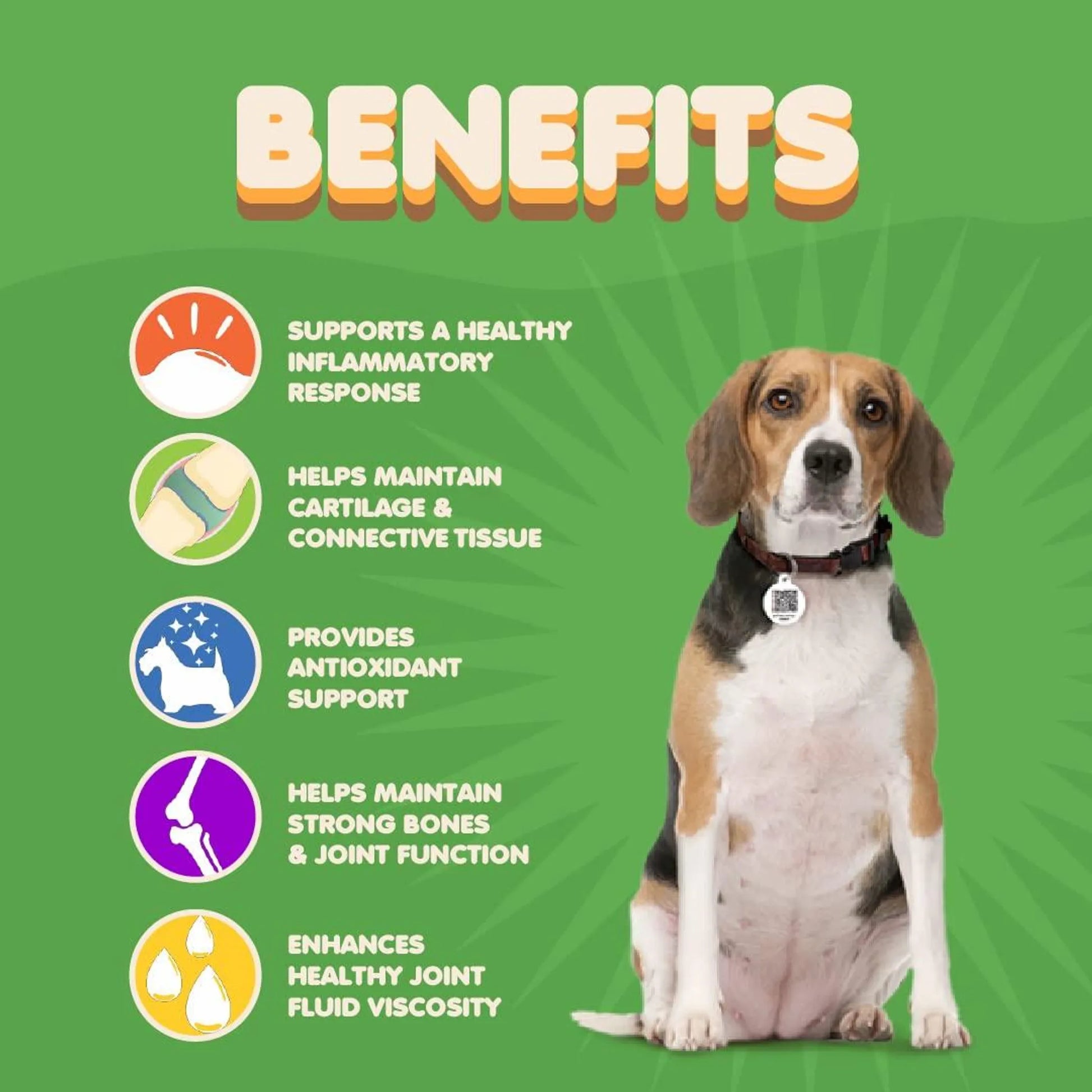 Joint Supplement for Dogs by Makondo Pets