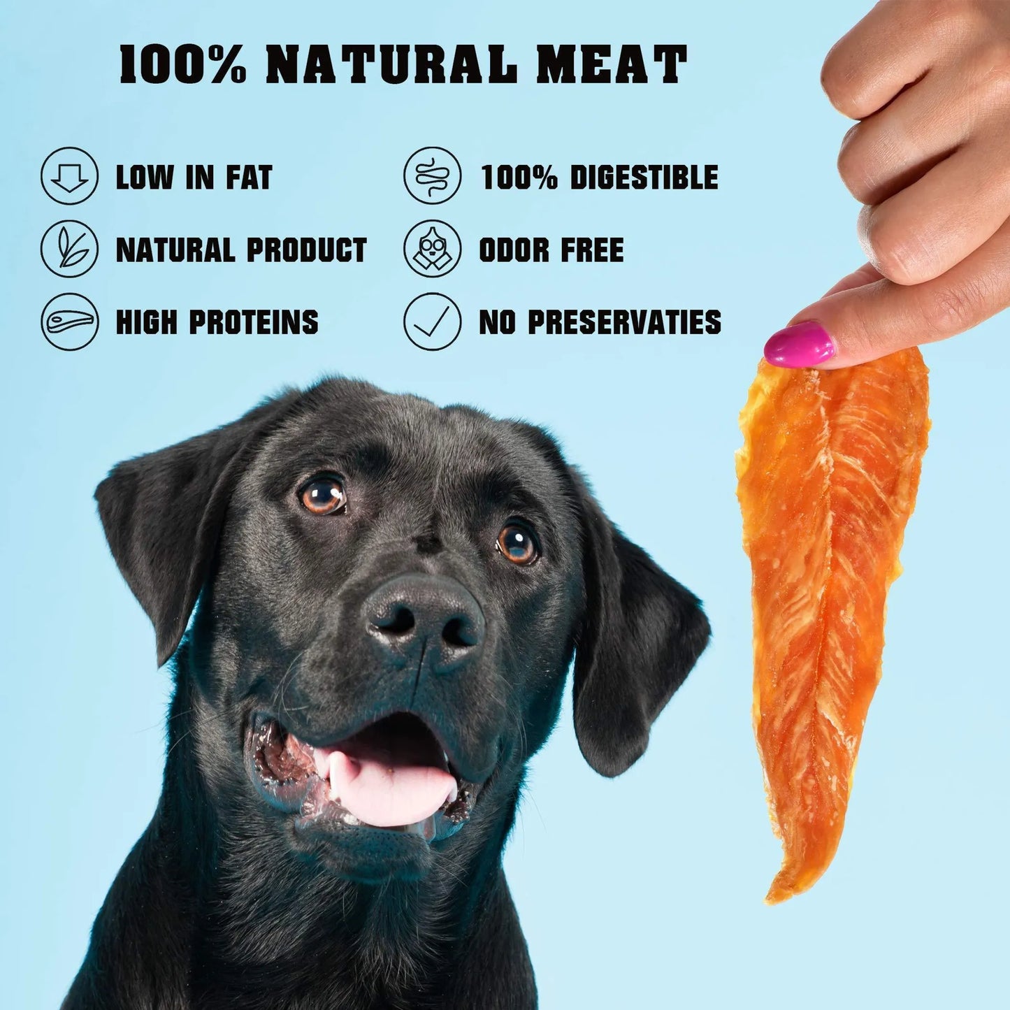 Chicken Jerky Dog Treats 1.5 Lb Human Grade Pet Snacks & Grain Free Organic Meat All Natural High Protein Dried Strips Best Chews for Training Small by Beloved Pets