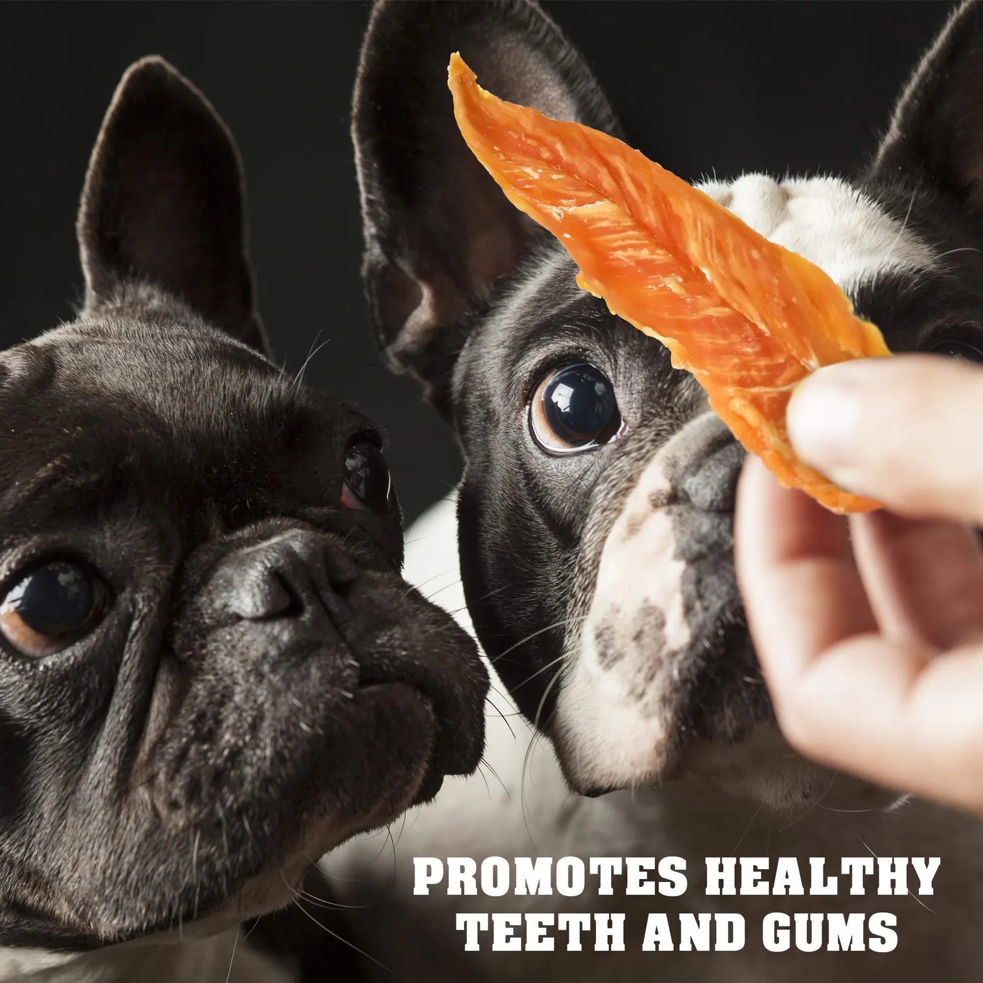 Chicken Jerky Dog Treats 1.5 Lb Human Grade Pet Snacks & Grain Free Organic Meat All Natural High Protein Dried Strips Best Chews for Training Small by Beloved Pets