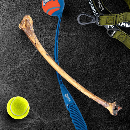 Ostrich Wing Bone : The Ultimate Long-Lasting Chew for Small Dogs & Light Chewers by Savannah Pet Food