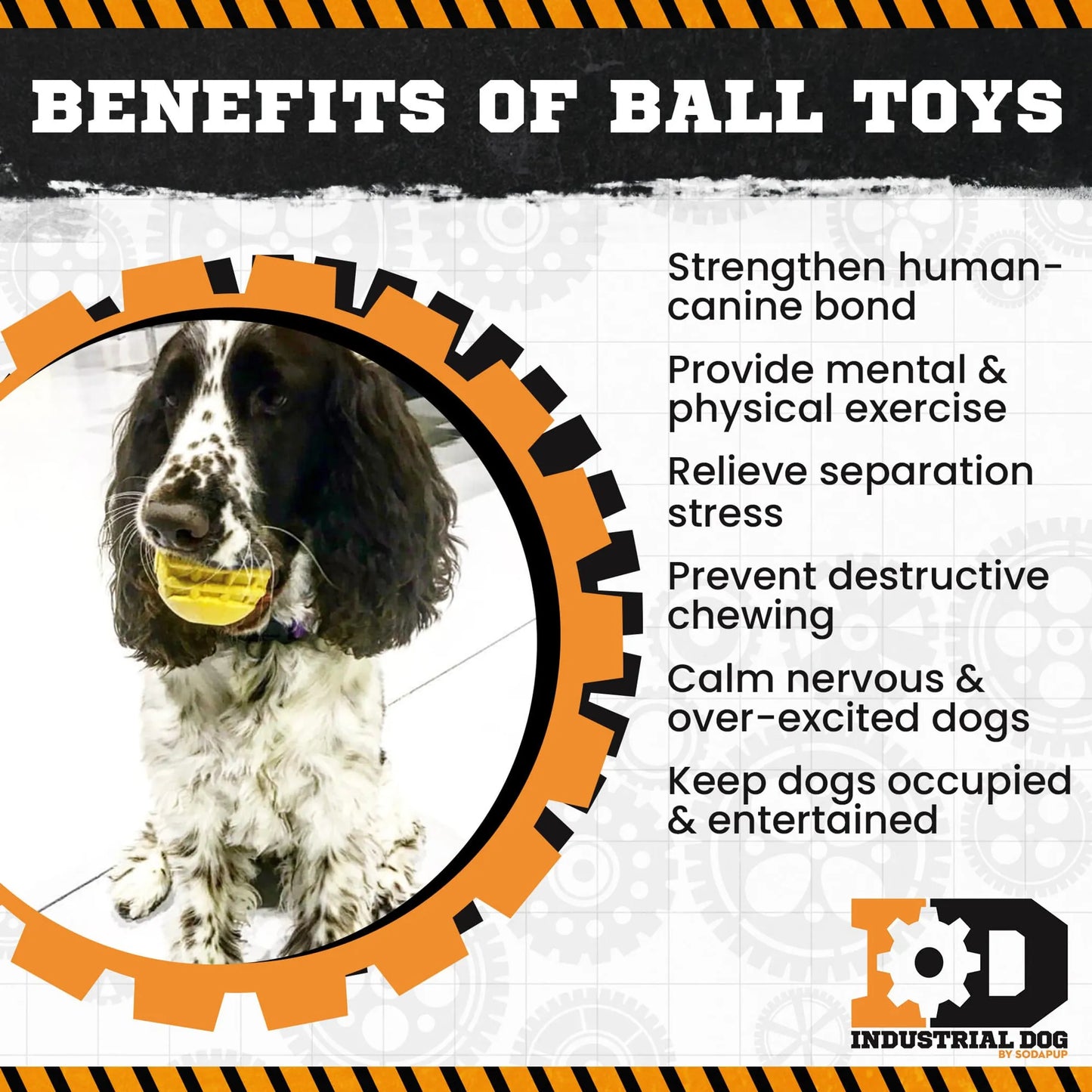 ID Ball - Ultra-Durable Rubber Chew Ball by SodaPup