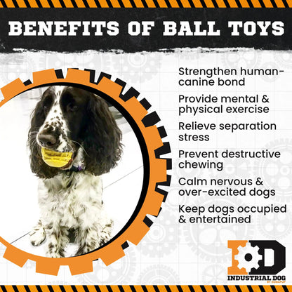 ID Ball - Ultra-Durable Rubber Chew Ball by SodaPup