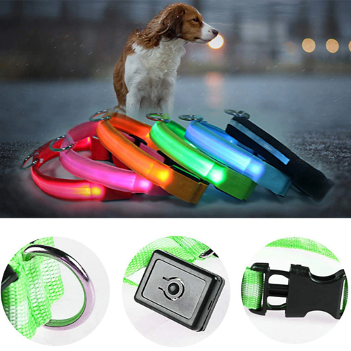 LED Adjustable Dog Collar Blinking Light Up Glow Safety by Titan's Tails & Treats
