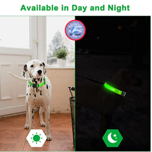 LED Adjustable Dog Collar Blinking Light Up Glow Safety by Titan's Tails & Treats