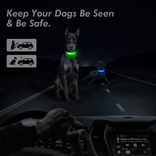 LED Adjustable Dog Collar Blinking Light Up Glow Safety by Titan's Tails & Treats