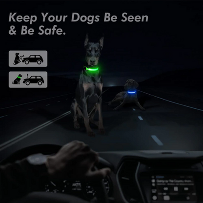 LED Adjustable Dog Collar Blinking Light Up Glow Safety by Titan's Tails & Treats