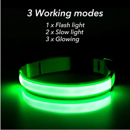 LED Adjustable Dog Collar Blinking Light Up Glow Safety by Titan's Tails & Treats