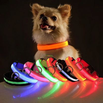 LED Adjustable Dog Collar Blinking Light Up Glow Safety by Titan's Tails & Treats