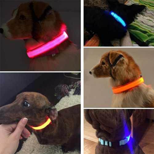 LED Adjustable Dog Collar Blinking Light Up Glow Safety by Titan's Tails & Treats