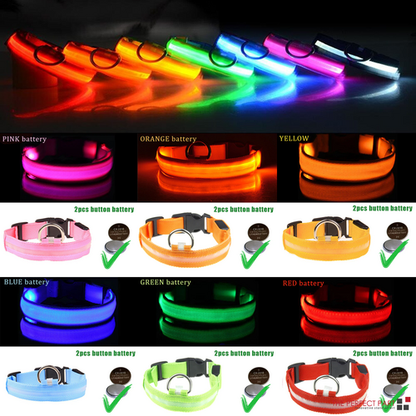 LED Adjustable Dog Collar Blinking Light Up Glow Safety by Titan's Tails & Treats