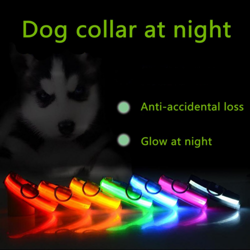 LED Adjustable Dog Collar Blinking Light Up Glow Safety by Titan's Tails & Treats