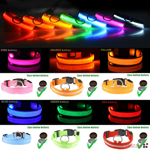 LED Adjustable Dog Collar Blinking Light Up Glow Safety by Titan's Tails & Treats