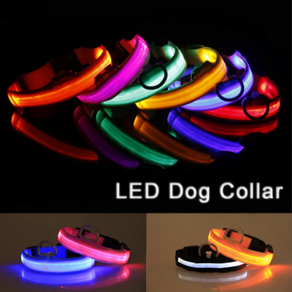 LED Adjustable Dog Collar Blinking Light Up Glow Safety by Titan's Tails & Treats
