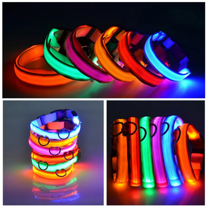 LED Adjustable Dog Collar Blinking Light Up Glow Safety by Titan's Tails & Treats