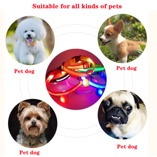 LED Adjustable Dog Collar Blinking Light Up Glow Safety by Titan's Tails & Treats