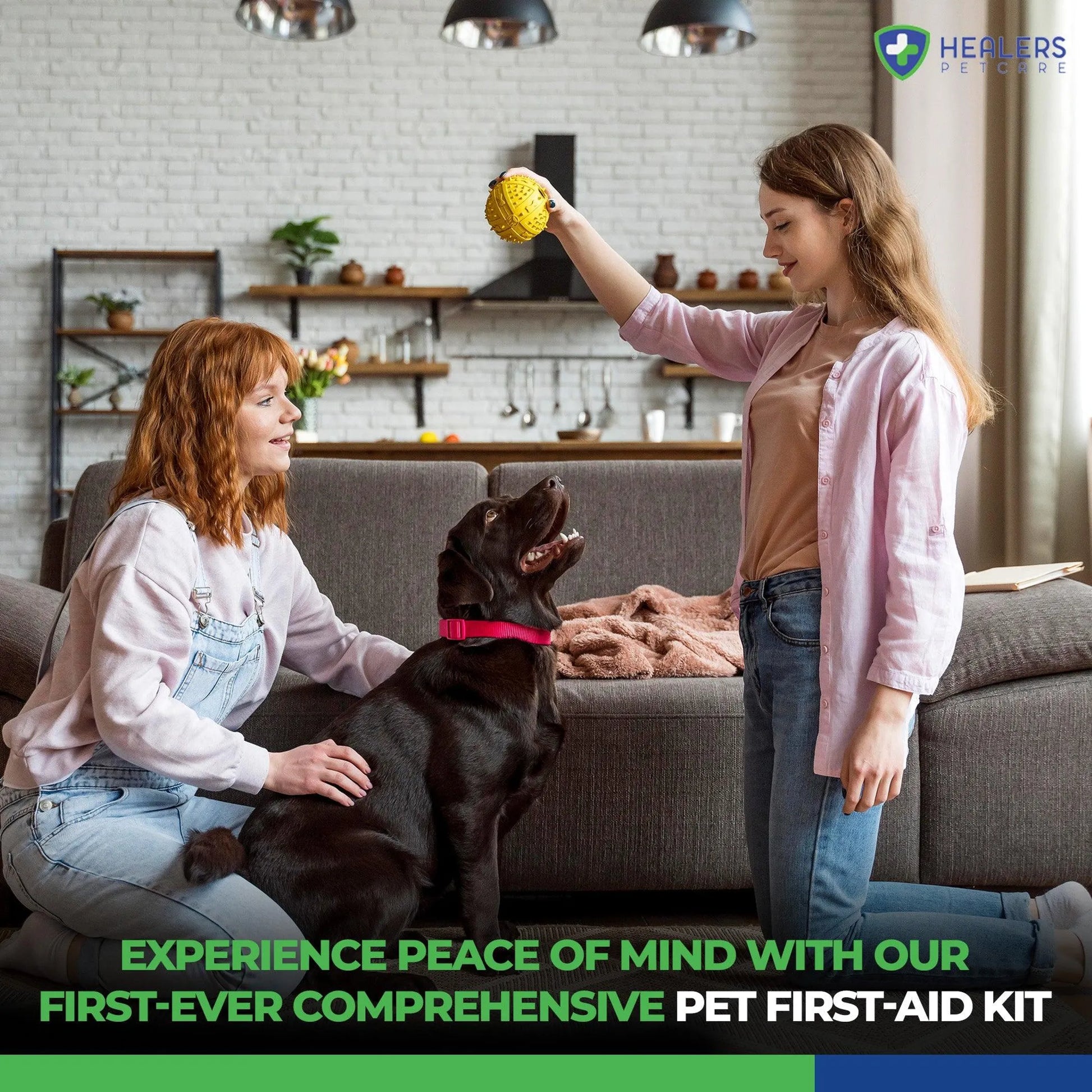 Healers Comprehensive First Aid Kit by Healers Petcare