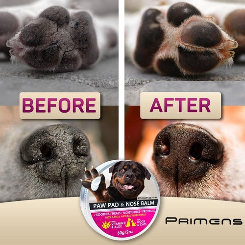 Natural Dog Paw Balm Dog Paw Protection for Hot Pavement Dog Paw Wax by Titan's Tails & Treats