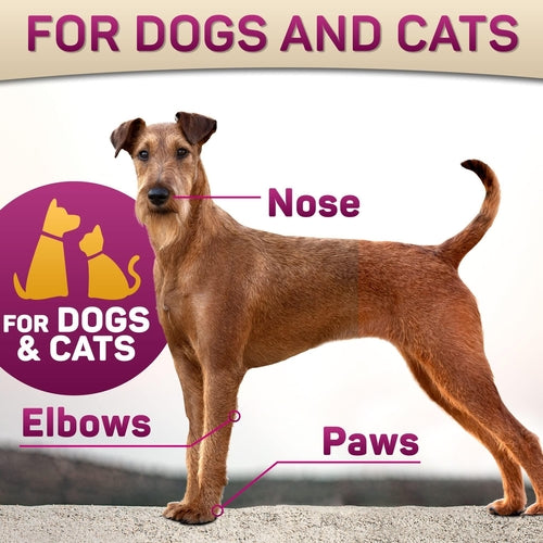 Natural Dog Paw Balm Dog Paw Protection for Hot Pavement Dog Paw Wax by Titan's Tails & Treats