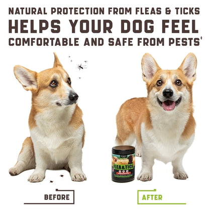 Flea And Tick Prevention Chewables For Dogs No Collars by Titan's Tails & Treats