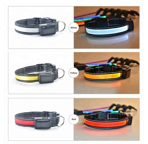 USB Solar Charge Reflective LED Dog Collar Night Safety by Titan's Tails & Treats
