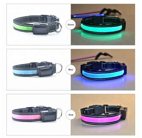 USB Solar Charge Reflective LED Dog Collar Night Safety by Titan's Tails & Treats