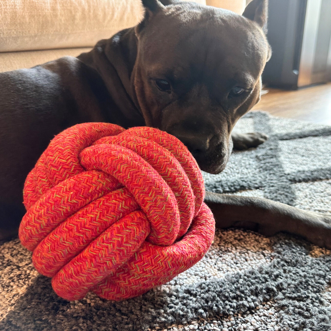 The Sunshine Red Collection of Jumbo Rope Ball Toy by Knotty Pawz