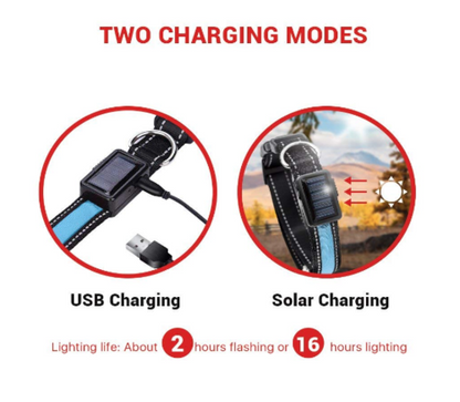 USB Solar Charge Reflective LED Dog Collar Night Safety by Titan's Tails & Treats