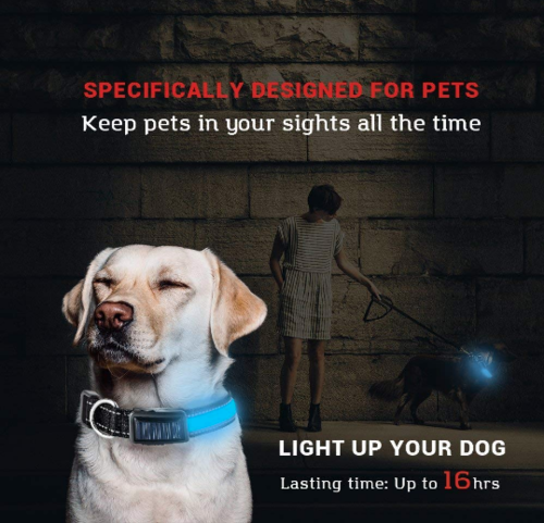 USB Solar Charge Reflective LED Dog Collar Night Safety by Titan's Tails & Treats