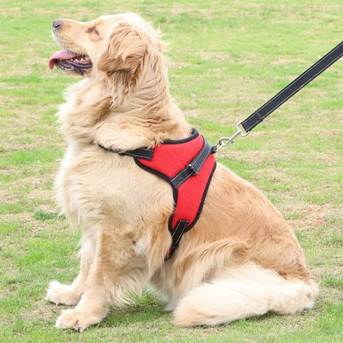 Adjustable Dog Harness For Comfort Fit And Safe Walks by Titan's Tails & Treats