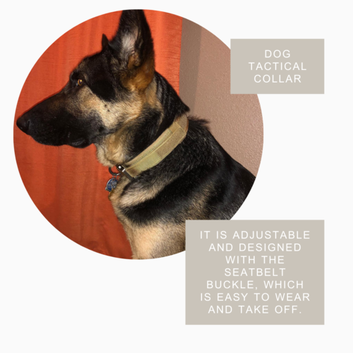 Durable Military Tactical Dog Collar by Titan's Tails & Treats