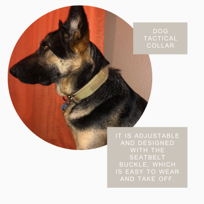 Durable Military Tactical Dog Collar by Titan's Tails & Treats