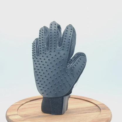 Grooming Glove by Toys N Treats Box