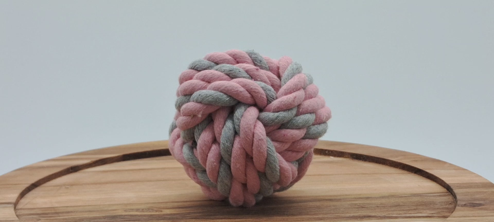 Fetch Ball by Toys N Treats Box